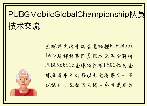 PUBGMobileGlobalChampionship队员技术交流